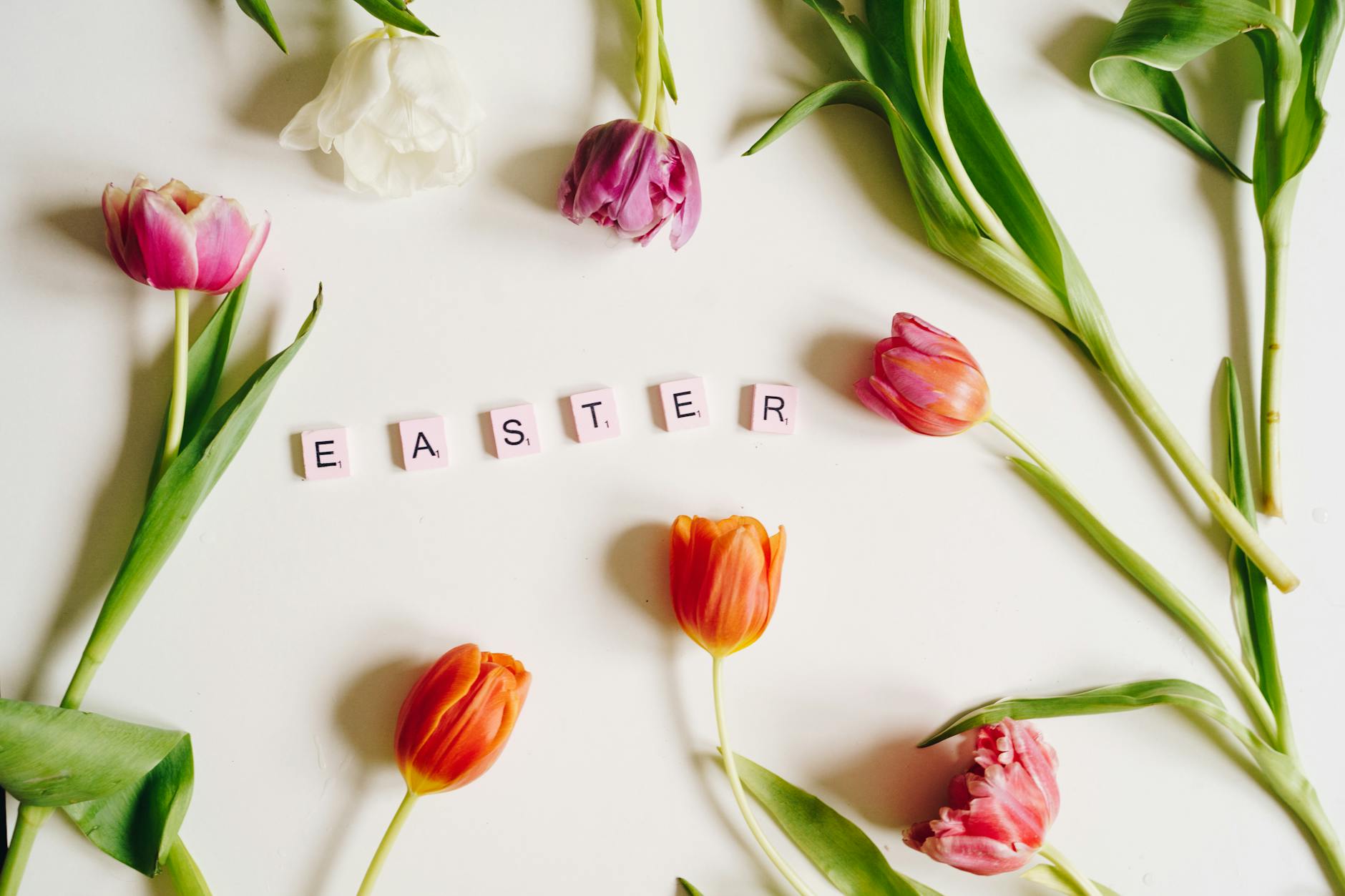 Blossoming Beginnings: The Top 10 Flowers to Elevate Your Easter Decor